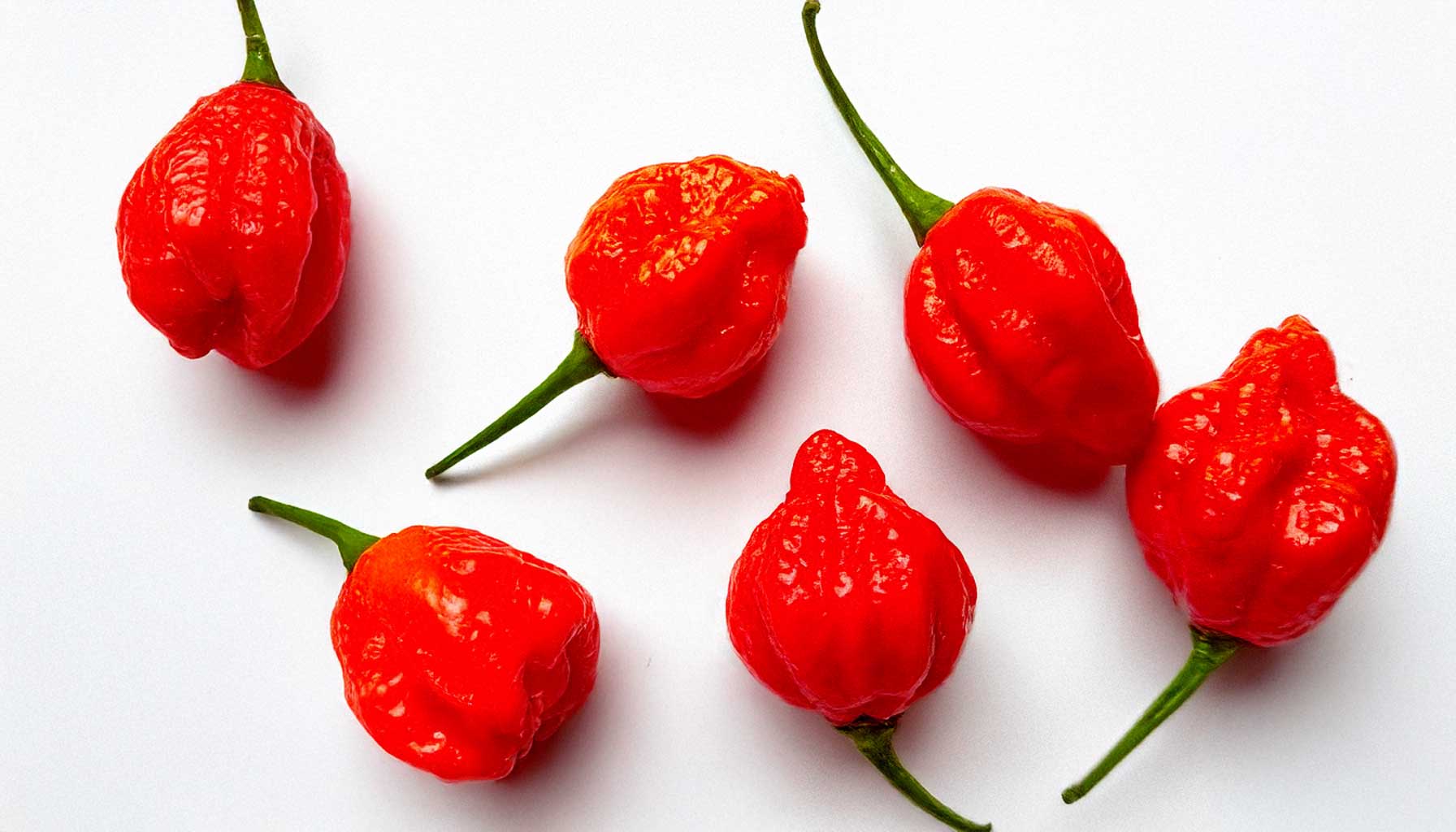 https://www.bencondito.at/bilder/news/133/trinidad-moruga-scorpion-vorschaubild_preview.jpg