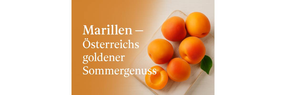 Marillen – Österreichs goldener Sommergenuss - Marillen – Saison, Rezepte &amp; Tipps I Bencondito