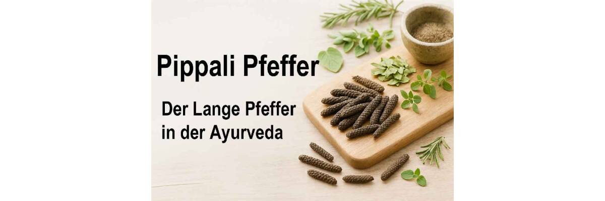 Langer Pfeffer in der Ayurveda: Die unterschätzte Kraft des Pippali Pfeffer - Langer Pfeffer in der Ayurveda: Wirkung &amp; Anwendung