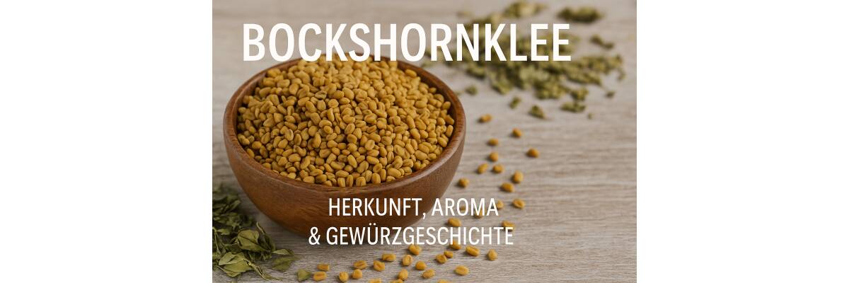 Bockshornklee – Ein Gewürz mit Geschichte, Tiefe und Charakter - Bockshornklee – Herkunft, Aroma I BenCondito