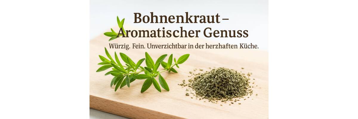 Bohnenkraut – das würzig-aromatische Küchenkraut - Bohnenkraut: Aroma, Verwendung &amp; Genuss | BenCondito