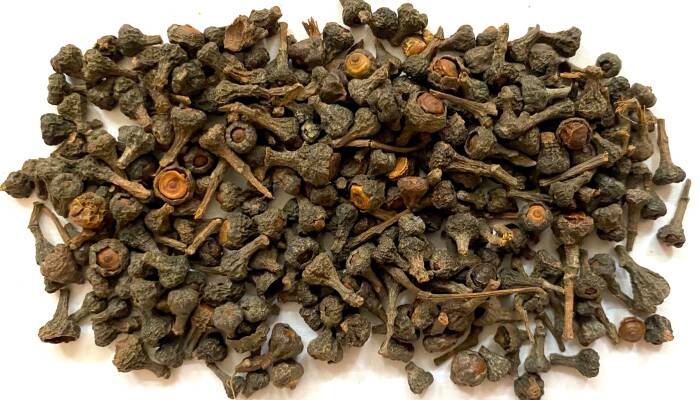 Zimtblüten: Geschmack, Herkunft und Anwendung | Gewürzshop - Zimtblüten: Ein Exquisiter Schatz der Gewürzwelt