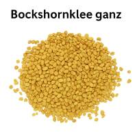 Bockshornklee im Nachfüllbeutel – Für Deine Vorratshaltung