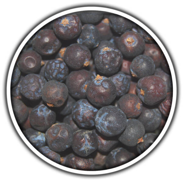 Wacholderbeeren