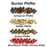 Schwarzer, weißer, grüner Pfeffer und Rosa Beeren nebeneinander auf weißem Hintergrund
